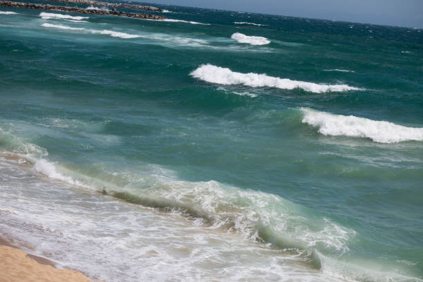 Waves in sea moved near the shore