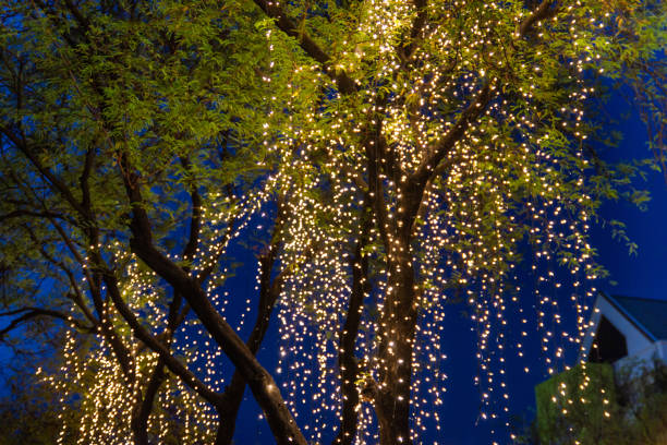 Christmas Light Hanging Services in Denver CO