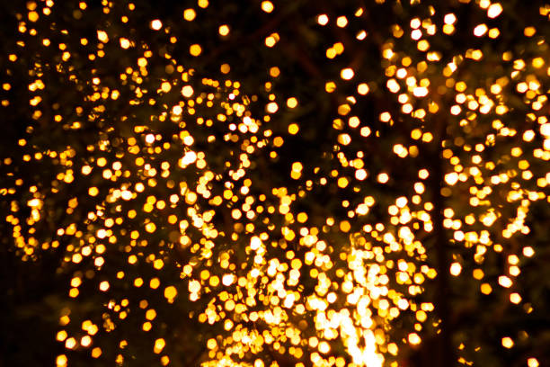 istock Blurred image Decorative outdoor string lights hanging on tree in the garden at night time festivals season 1149282029