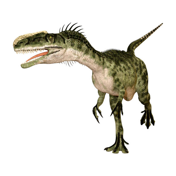 ilustración 3d dinosaurio monolophosaurus en blanco - paleobiology fotografías e imágenes de stock