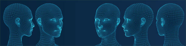 ilustrações de stock, clip art, desenhos animados e ícones de three dimensional woman heads. set. ware mesh from 3d app. - people the human body human head human face