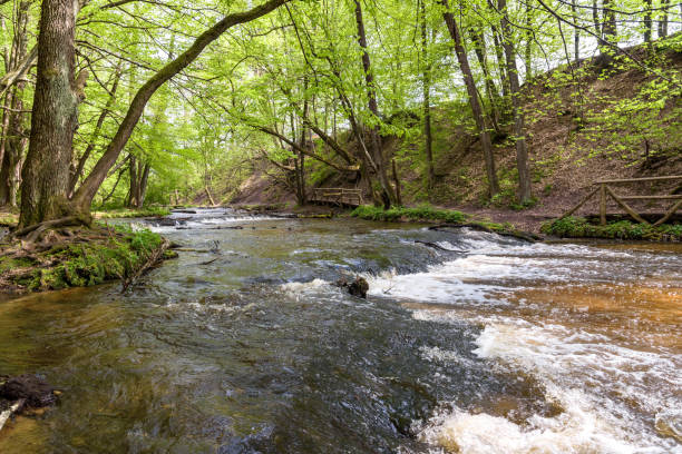 istock Path at the Tanew river in nature reserve Nad Tanwia 1149283964