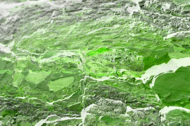 Photo of Abstract green background.