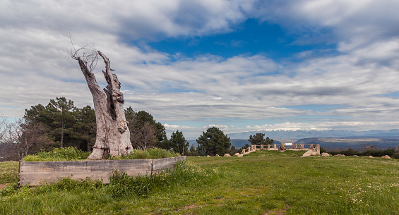 Salamanca, Castilla y Leon, Spain - April 14, 2013: View of an old trunk of a tree in a lonely gazebo overlooking a snowy mountains