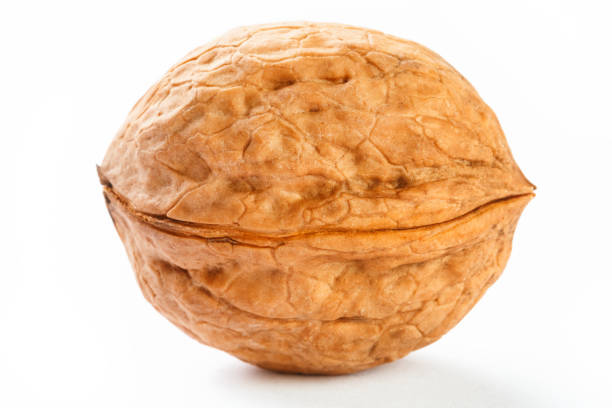 istock Walnut on white isolated background, clipping path, full depth of field 1149290175