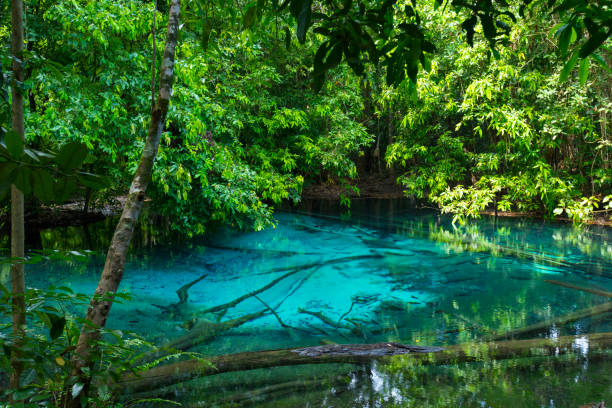 istock Emerald Pool (Sra Morakot) in Krabi province, Thailand. 1149292259