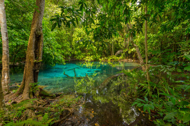 istock Emerald Pool (Sra Morakot) in Krabi province, Thailand. 1149292262