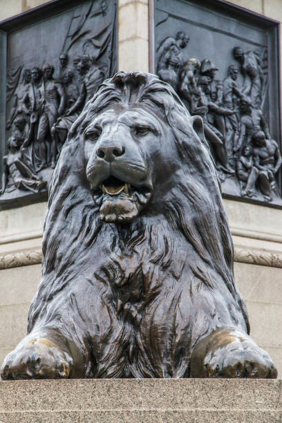 One of the four lions designed by Landseer at the base of the Nelson's Column in Trafalgar Square, London, United Kingdom.