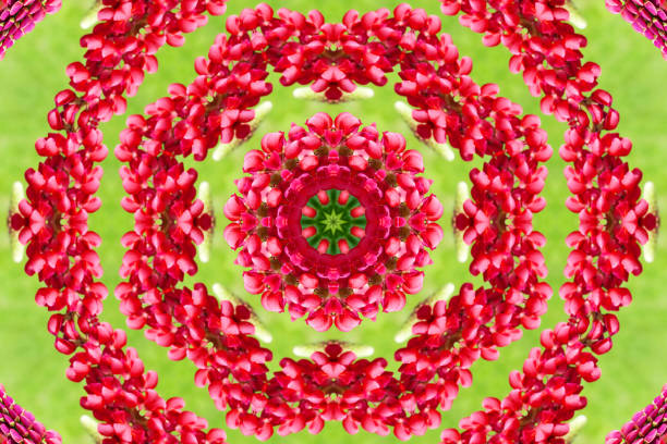 istock abstract background of flower pattern of a kaleidoscope 1149292580