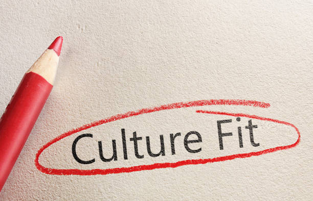 istock Culture Fit Hiring Concept 1149295203