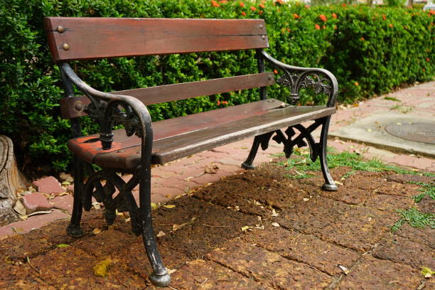 istock Bench stands in the garden 1149295221