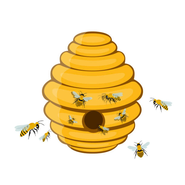 ilustrações de stock, clip art, desenhos animados e ícones de bee tree hive vector design illustration isolated on white background - apicultura ilustrações