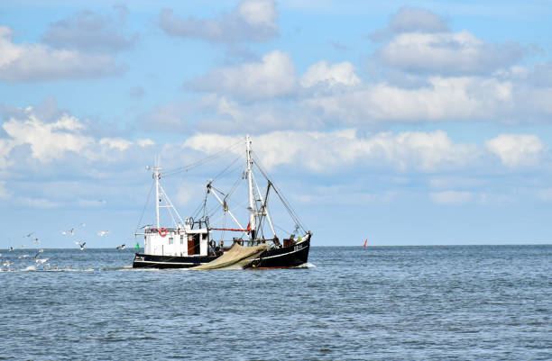 o barco de pesca com o nome sd 16 está pescando no mar norte perto de buesum em frisia norte (germany) - kutter - fotografias e filmes do acervo