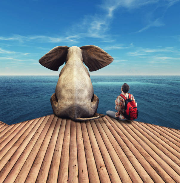 istock Elephant and a man admiring the view at the ocean resort. 1149304836