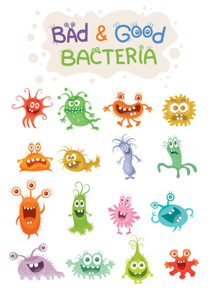 illustrazioni stock, clip art, cartoni animati e icone di tendenza di personaggi dei cartoni animati good bacteria and bad bacteria - bacteriologist