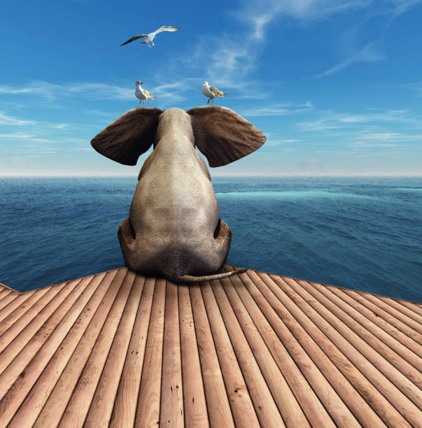 istock Elephant admiring the view at the ocean resort. 1149305458