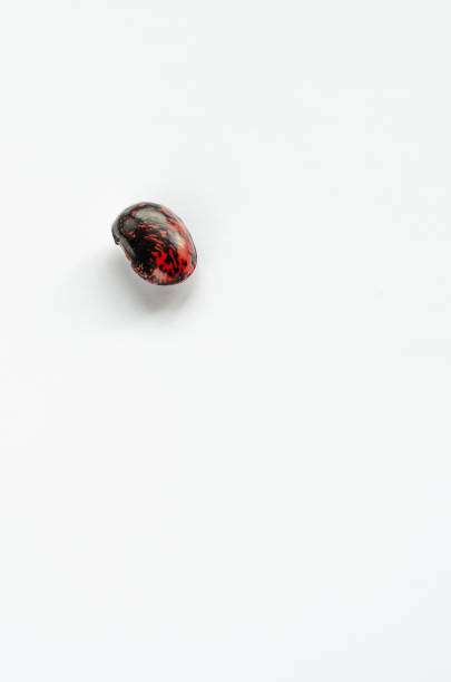 istock One colorful kidney bean on white background. Copyspace 1149306584