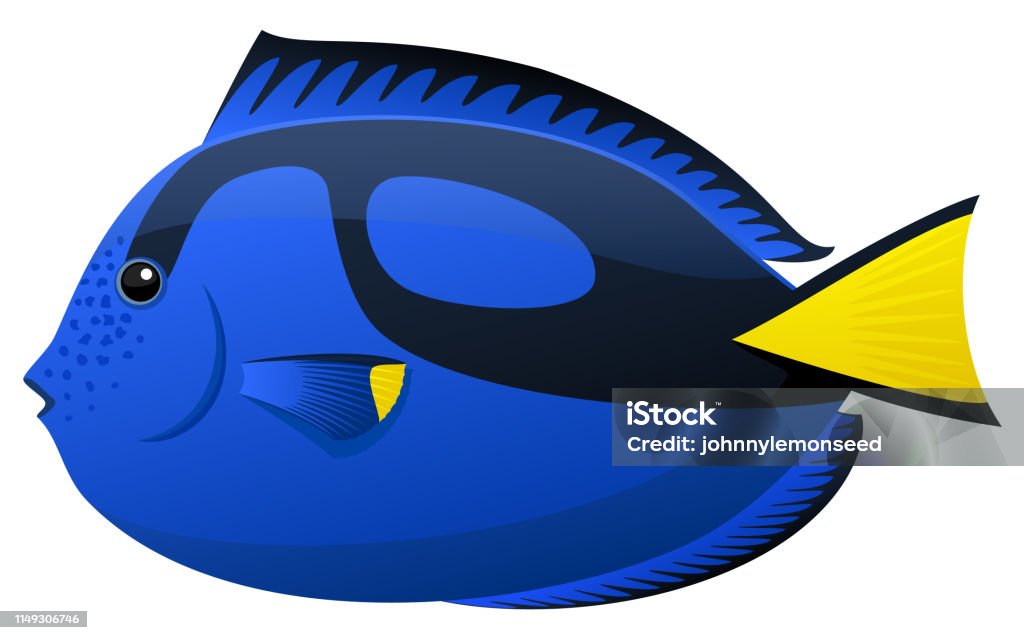 Blue Tang Stock Illustration - Download Image Now - Blue Tang Fish