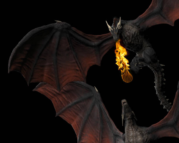 istock Dragon at above throwing fire to other one black background isolated 3d illustration 1149307816