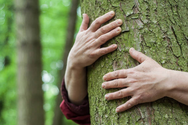istock woman hugging a tree in a forest 1149307891