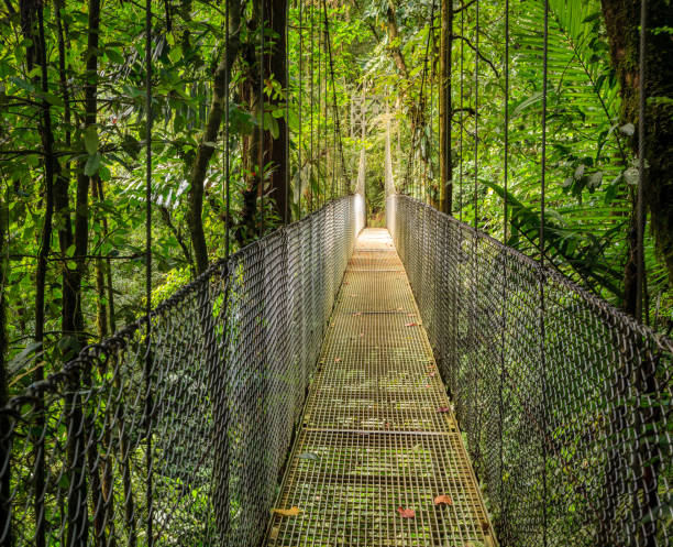 istock Mistico Arenal Hanging Bridges Park 1149310053