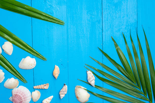 istock Blue wood background , Summer  concept 1149311316