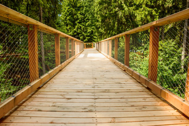 istock Stezka Korunami Stromu, a wooden bridge hung between the trees. 1149312853