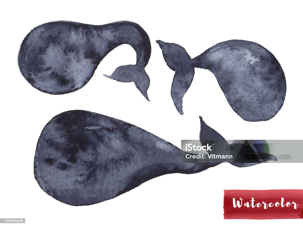 Whale In Indigo Color Painting Watercolor Art Drawing Sea Fish ...