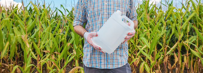 Farmer holding unlabeled pesticide jug in field, agronomist recommends herbicide for corn crop protection, mock up