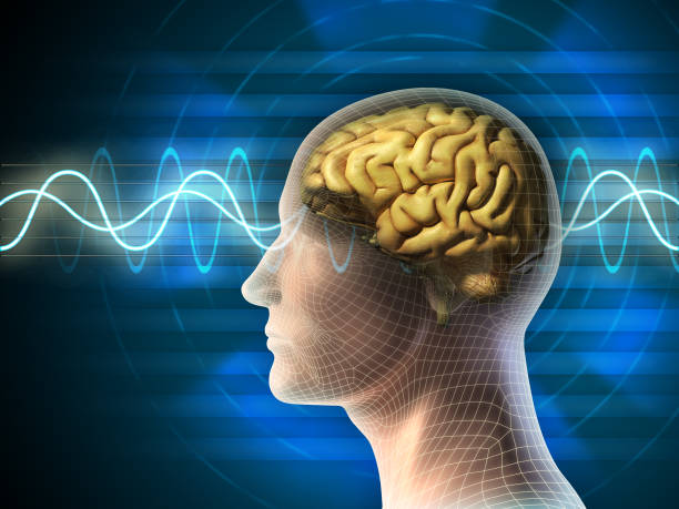 Brain waves Human head and brain. Different kind of waveforms produced by brain activity shown on background. Digital illustration. eeg stock pictures, royalty-free photos & images