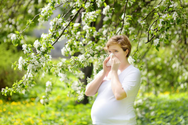 mujer joven embarazada estornudar y toallitas nariz con servilleta durante la caminata en el parque de primavera. temporada de gripe, rinitis fría. personas alérgicas. - orchard flower apple tree tree fotografías e imágenes de stock