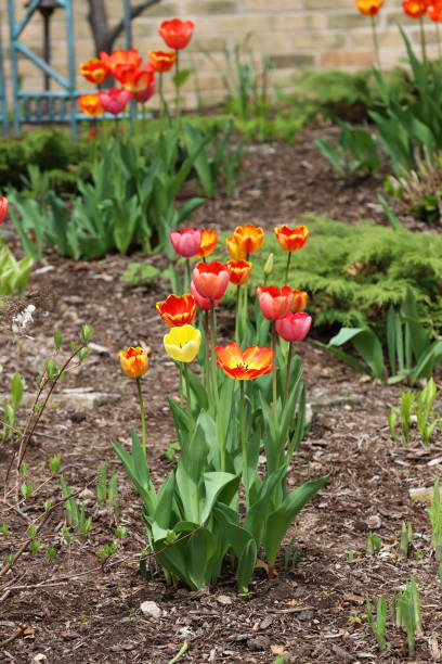 istock Spring background with a blossoming garden. 1149327898