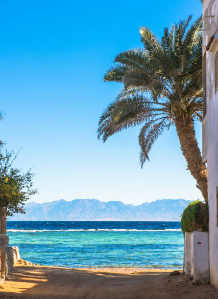 Coast of Red Sea, in Gulf of Aqaba, near Dahab.Egypt Coast of the Red Sea, in Gulf of Aqaba, near Dahab.Egypt dahab photos stock pictures, royalty-free photos & images