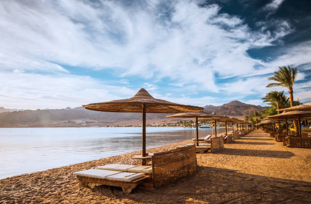 rilassati sotto l'ombrellone sulla spiaggia del mar rosso egitto - nobody africa summer tourist resort foto e immagini stock