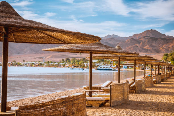 istock Relax under parasol on the beach of Red Sea Egypt 1149329452