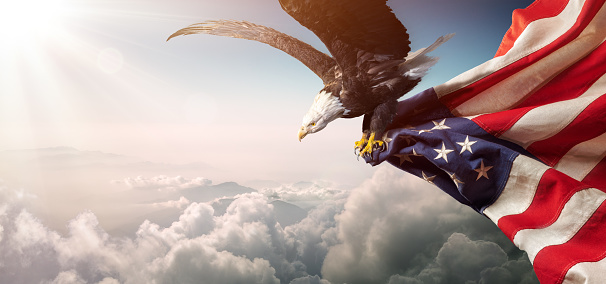 Águila con bandera americana vuela en libertad photo