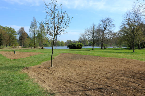 felder und wälder im hever land - hever stock-fotos und bilder