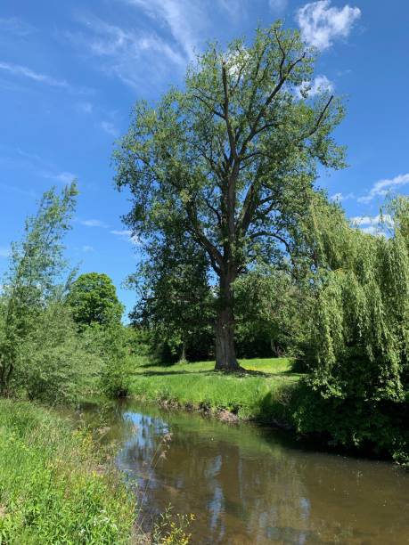 istock Creek and public park in sunny spring 1149341616