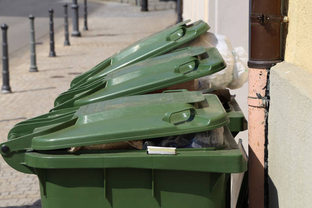 istock Green garbage cans are on the street 1149343101