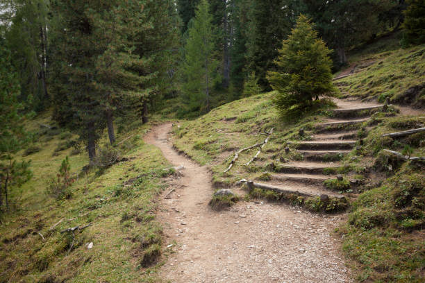 un seul sentier de montagne se divise en deux directions différentes. c’est un jour nuageux automnal. - footpath european alps fence woods photos et images de collection