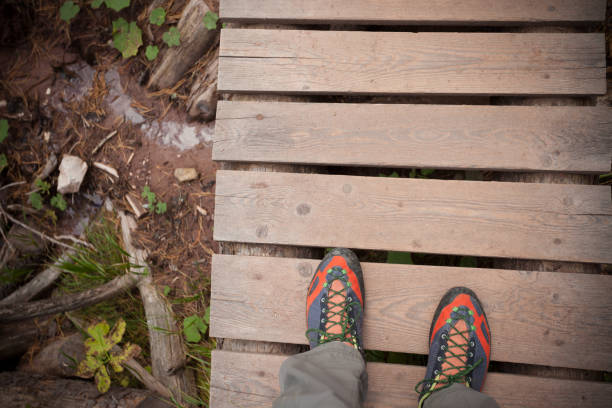 a trekker walking long a wooden bridge