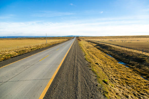 istock Empty road with a blue sky in Punta Arena 1149344437
