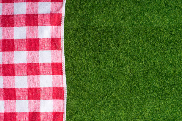 istock Red picnic on the grass top view, top view 1149346670