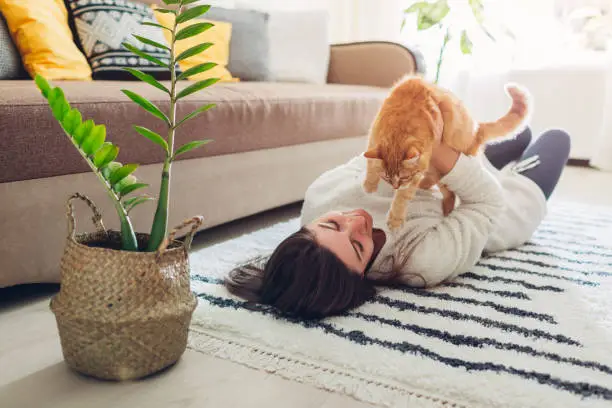 Photo of Young woman playing with cat on carpet at home. Master lying on floor with her pet