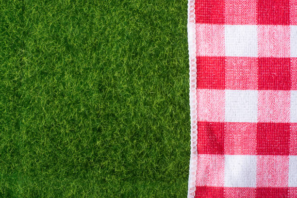 istock Red picnic on the grass top view, top view 1149347779