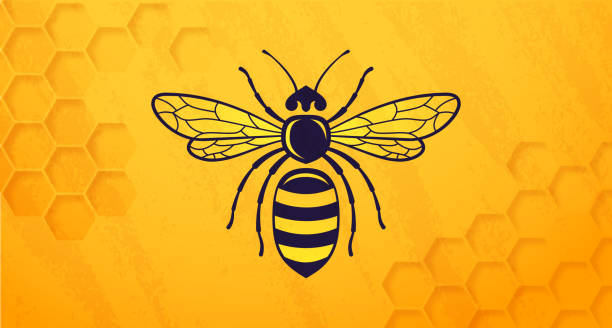 Honey Bee Beehive Honey bee beehive symbol yellow horizontal background. honeycomb animal creation stock illustrations