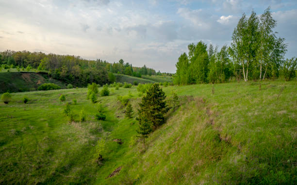 istock Beautiful landscape at sunset in a ravine, pine, birch, grass. 1149357399
