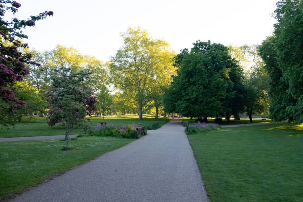istock A park in London with trees 1149357410