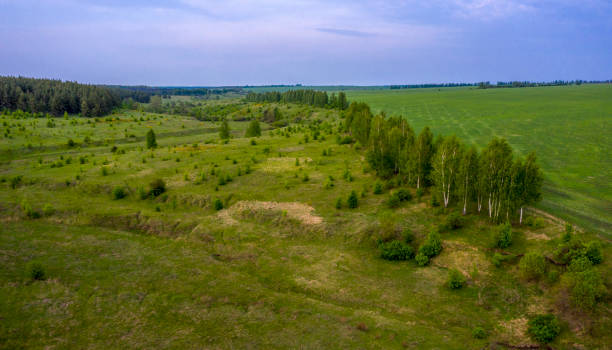 istock ravine, field, forest with a bird's eye in the evening light 1149358943
