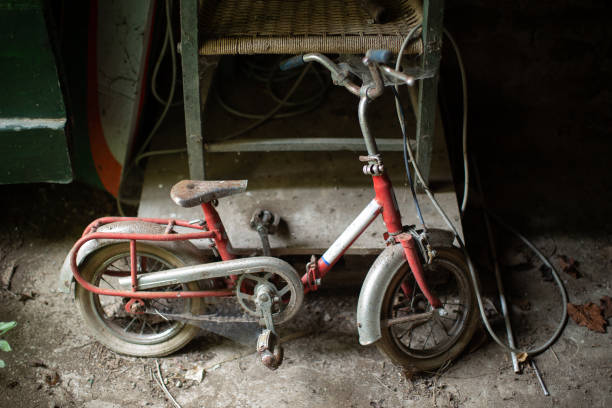 istock Small child bicycle covered in spider webs 1149360779